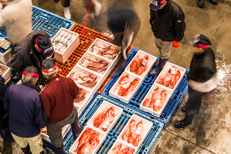 朝に市場から仕入れる魚。